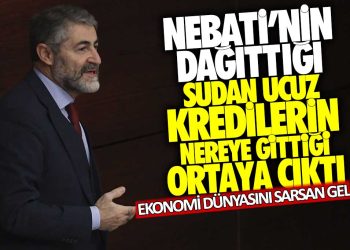 Nurettin Nebati’nin dağıttığı sudan ucuz kredilerin nereye gittiği ortaya çıktı! Ekonomi dünyasını sarsan gelişme